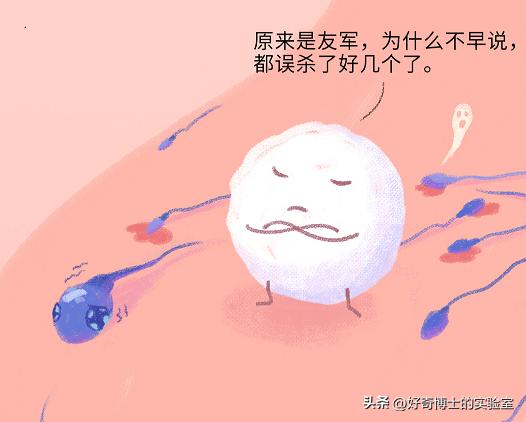 精子进入人体1小时变化,精子进入人体24小时变化