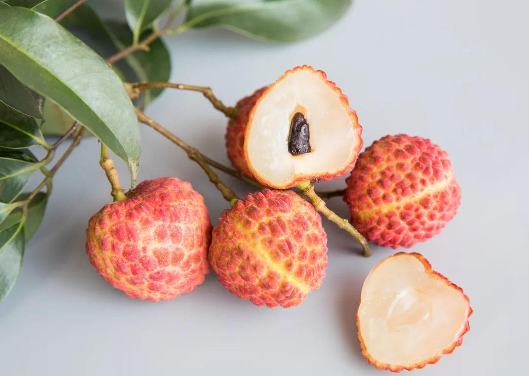 合江是长江出川的最后一个县城吗,四川合江长江