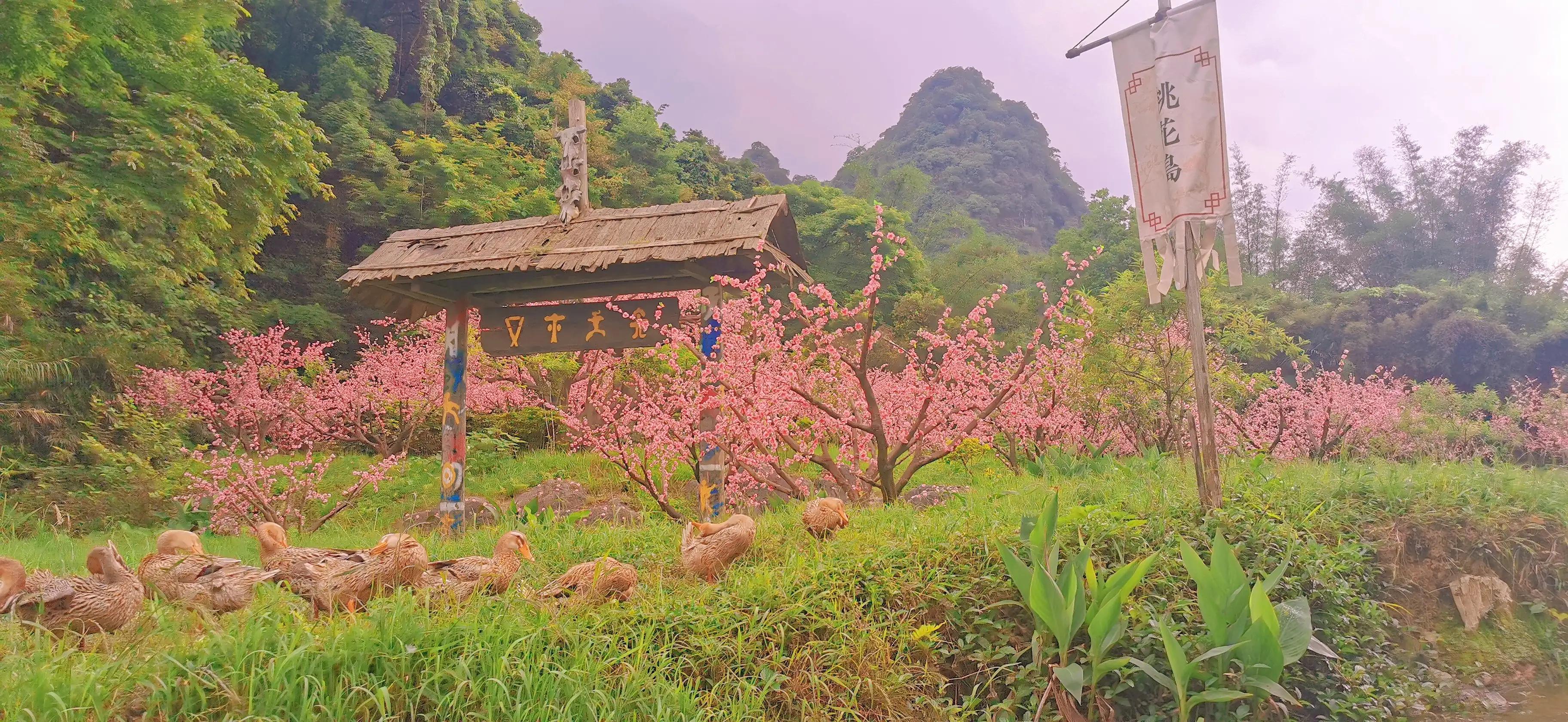 桂林游记之阳朔山水与阳朔西街,桂林阳朔旅游游记2017