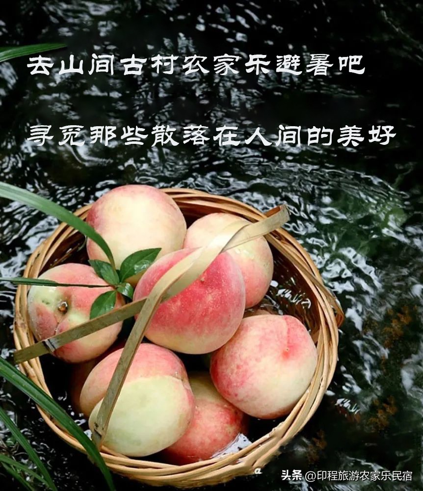 浙江夏日避暑农家乐推荐——浙东后花园