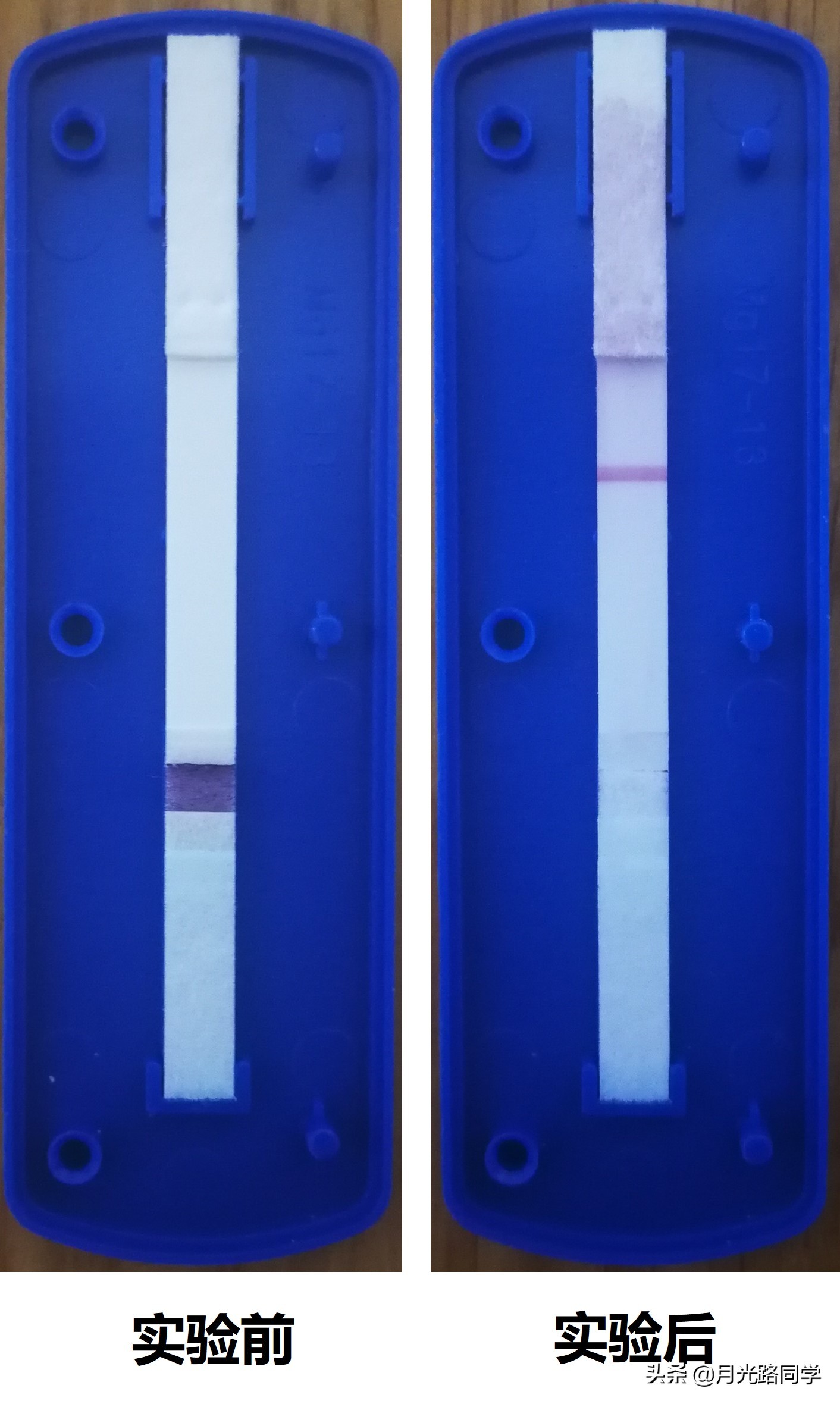 新冠抗原出现蓝色条,新冠抗原自测底色为何有红有白