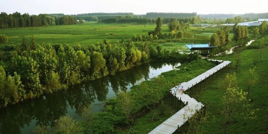 山东省济宁市是什么县,山东省济宁市情况