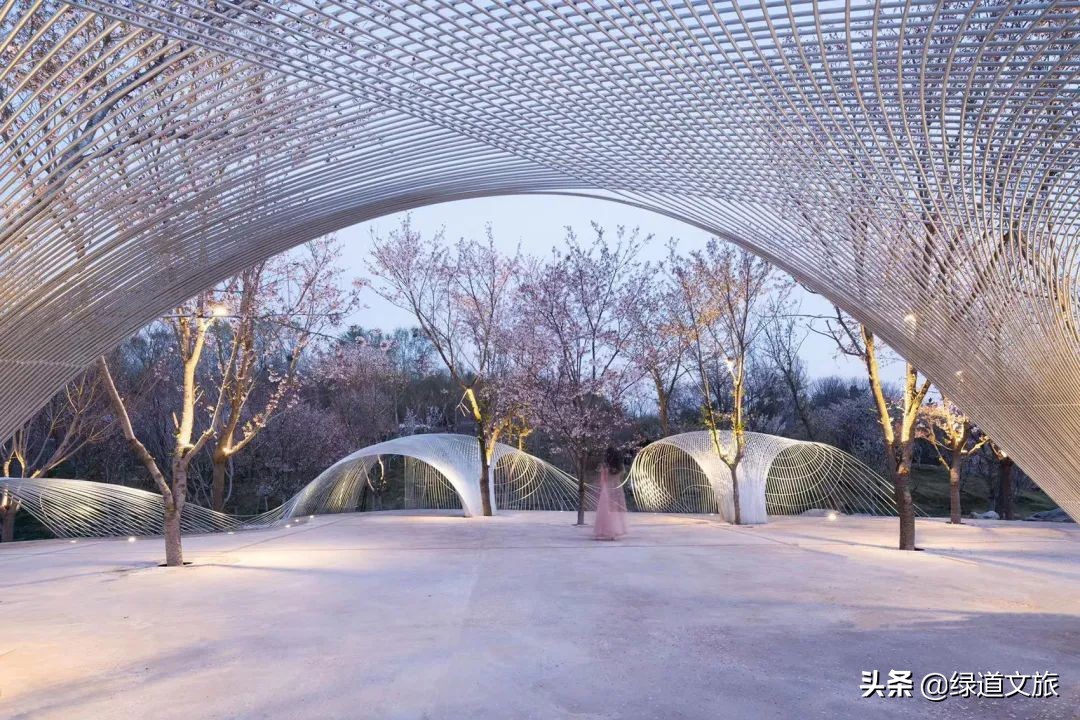 樱花树下的约定字体设计,樱花树下的约定完美国度