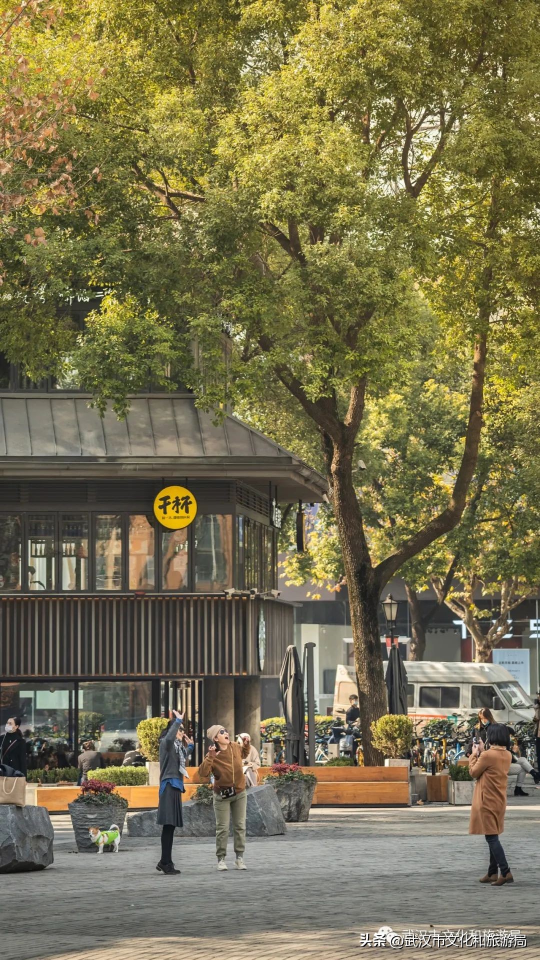 武汉不花钱看樱花地点,来武汉一定要看两坝一峡登黄鹤楼