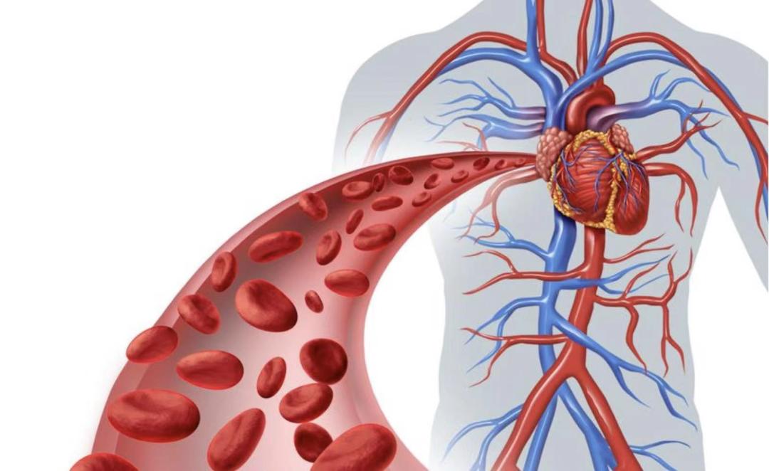 阳过皮肤变好了,阳过之后身体变差