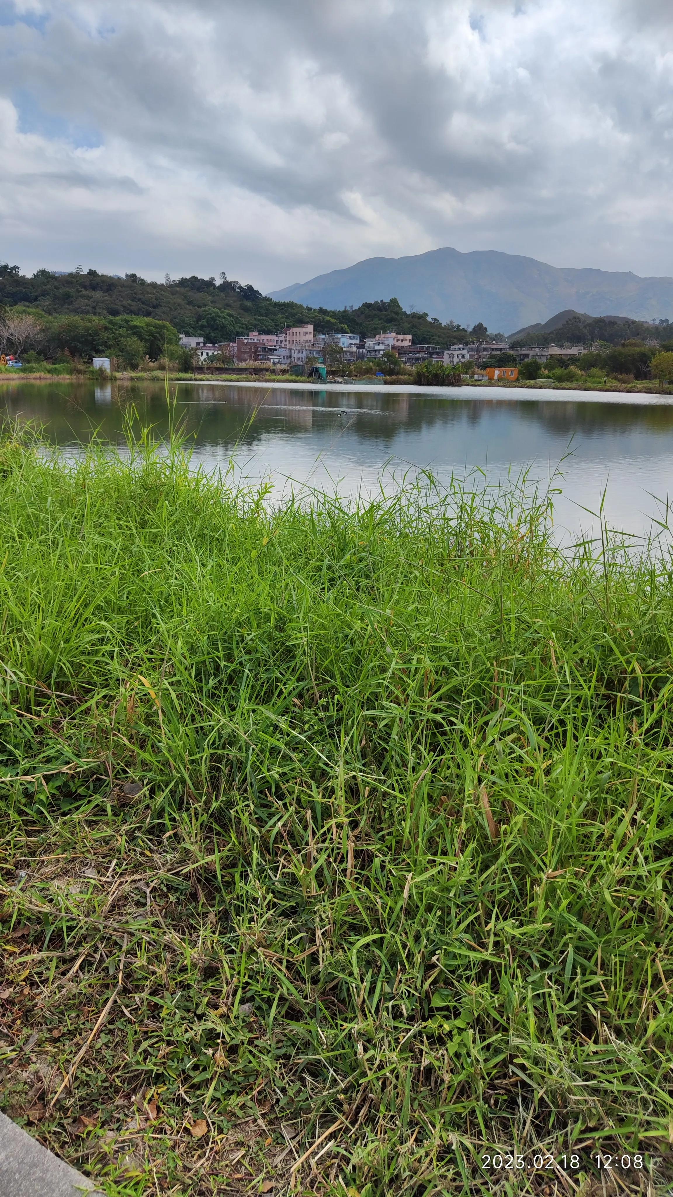 在福田口岸怎么去元朗,深圳福田口岸去香港攻略