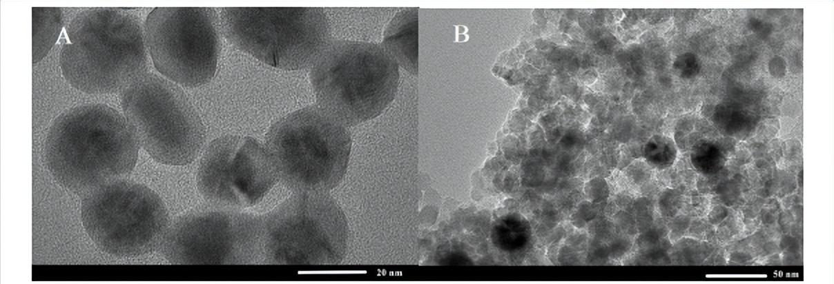 基于介孔TiO2/Au@Ag纳米复合材料的拉曼免疫传感器研究