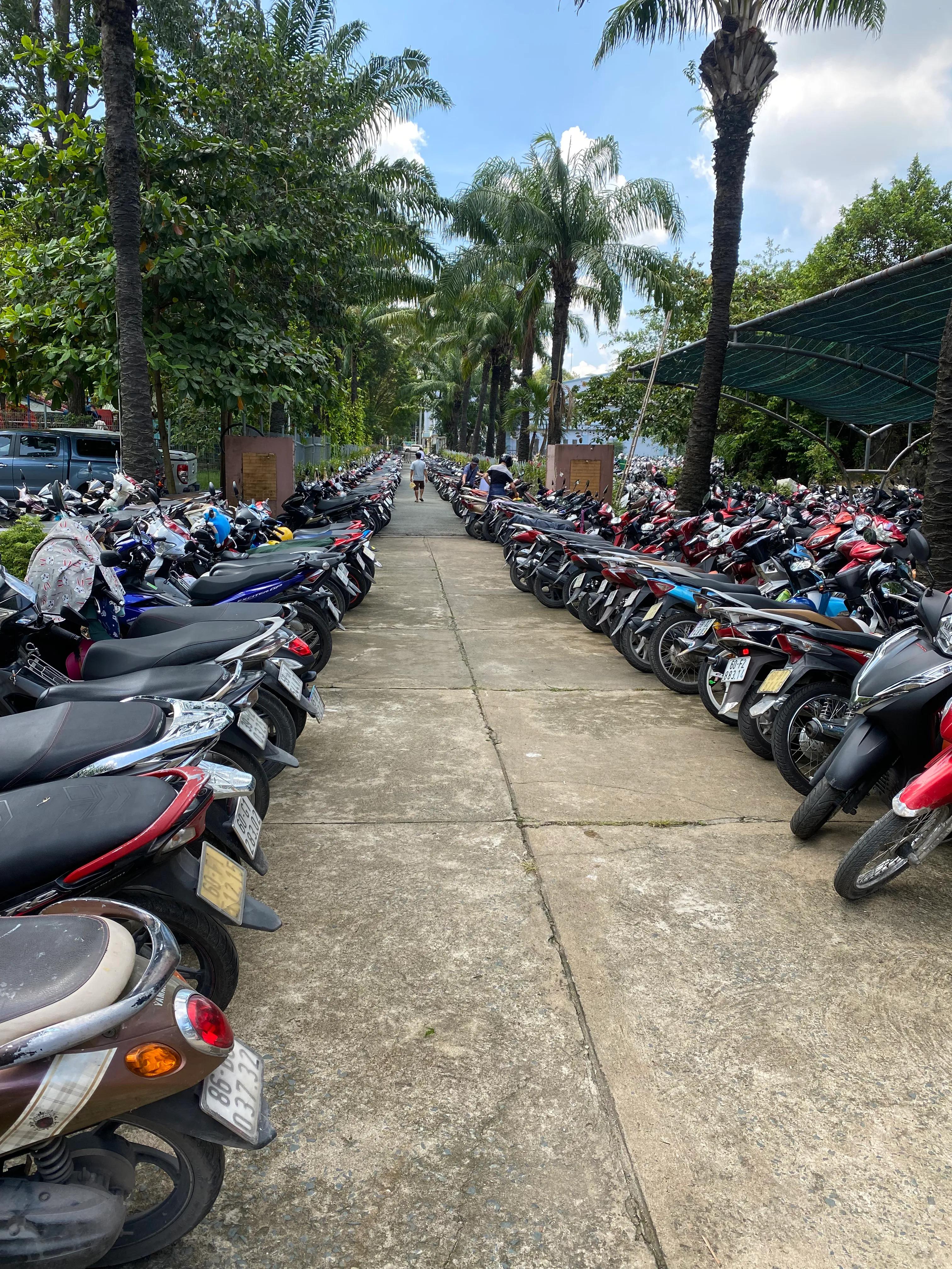 在越南的老外,在越南生活的老外