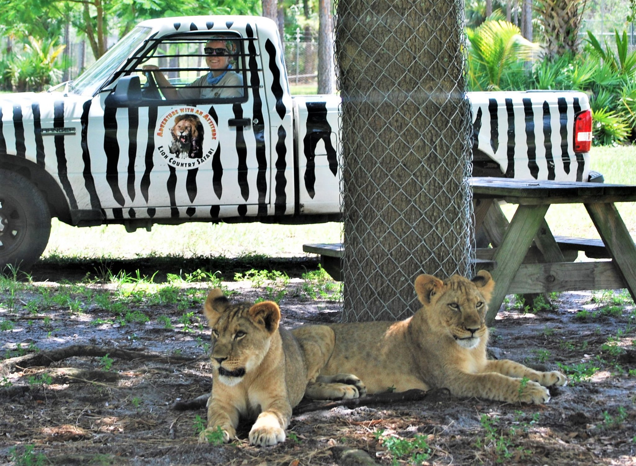 最详细的迈阿密旅游攻略,美国迈阿密3天旅游攻略