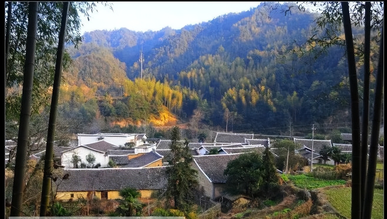 涓婇ザ閾呭北鐣叉棌椋庢儏,澶╀笅show