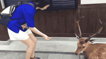 网恋奔现大型翻车纯属尴尬,网恋奔现兄弟们这算翻车吗