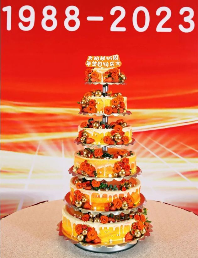 太阳神集团会议,太阳神成立34周年作品