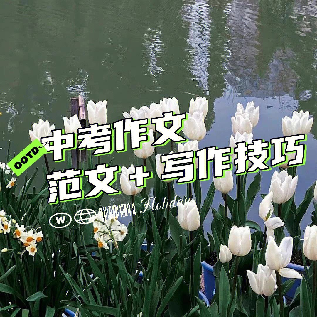 2023年中考作文押题范文文字,2023年中考语文满分作文预测20篇