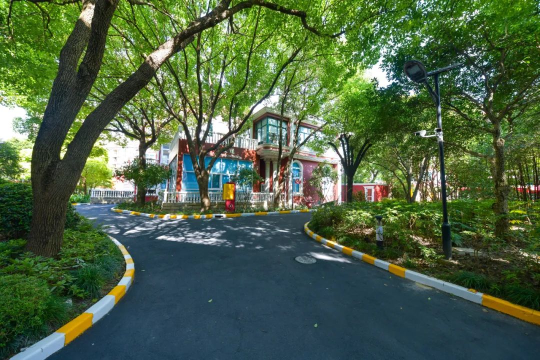 ib国际学校上海,上海ib国际学校一览表