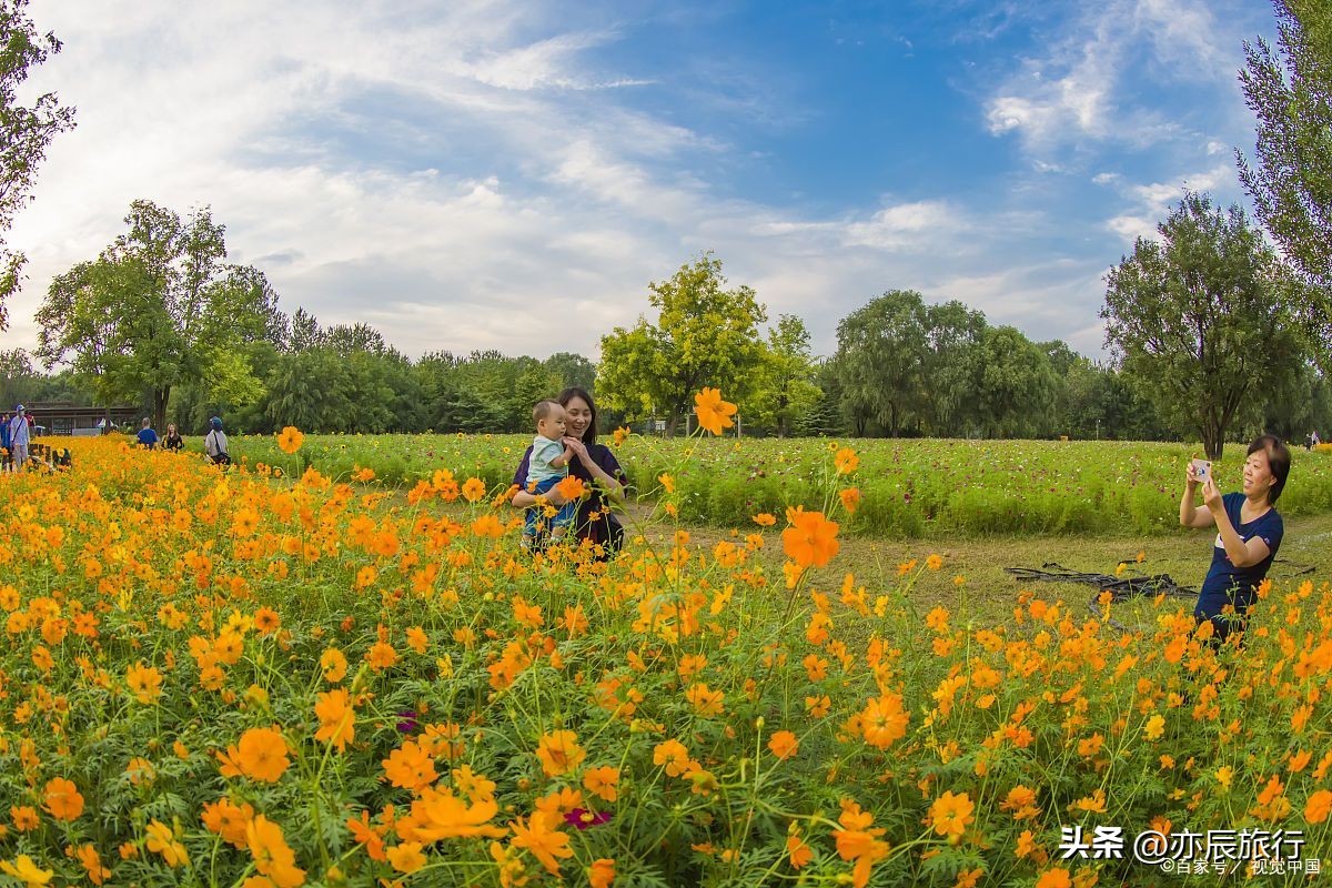 国庆南昌周边一日游景点推荐,南昌国庆假期一日游最佳景点