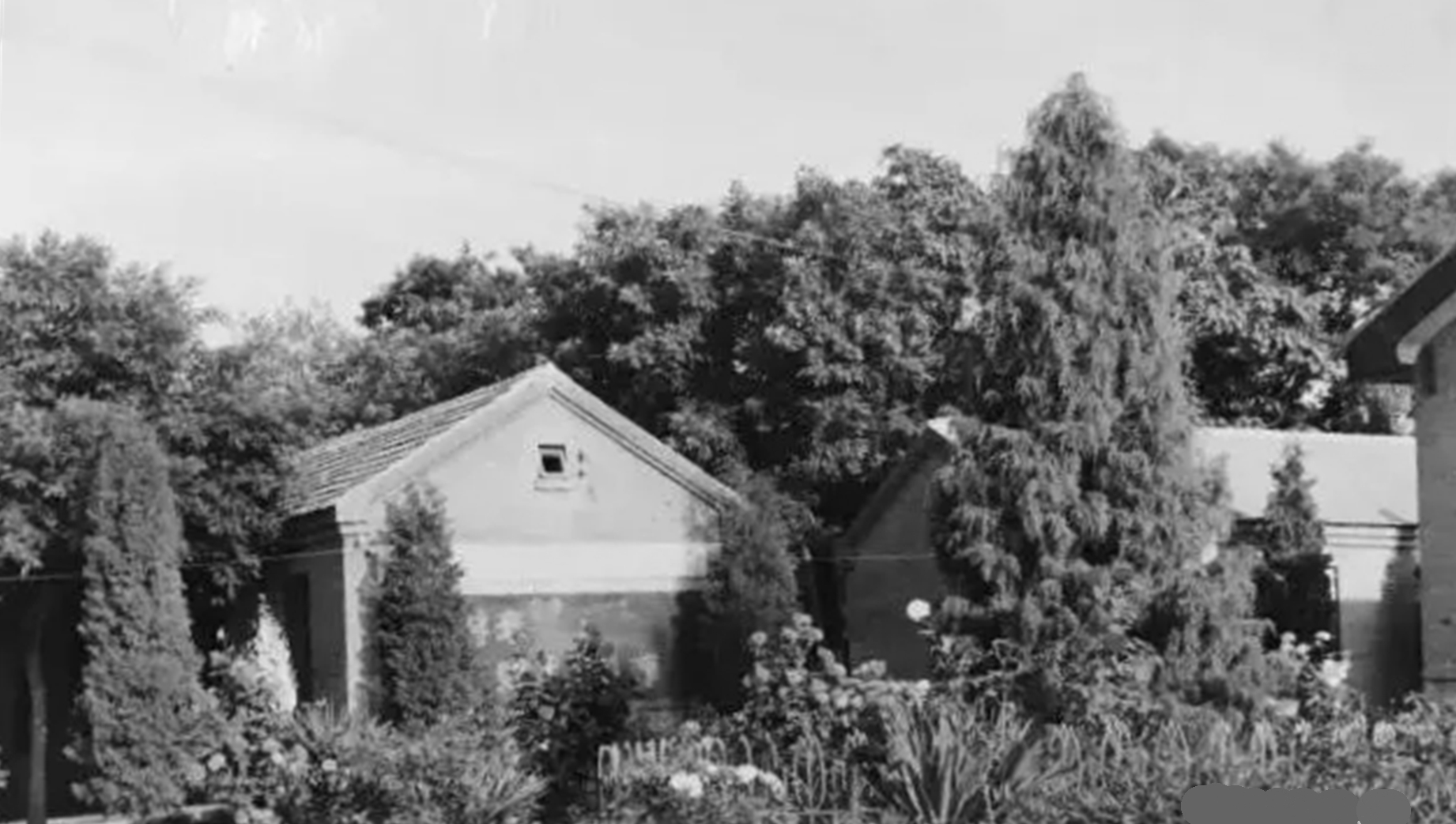 保定五中19:求进步说唱兼赛跑,学标兵思量很痛心