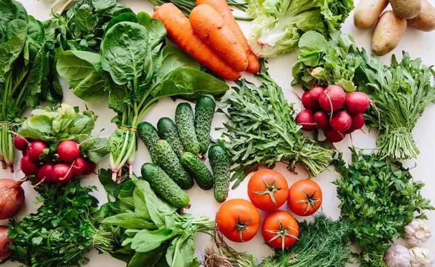 在农村适合做这五个生意,不想打工想回农村做什么生意好呢