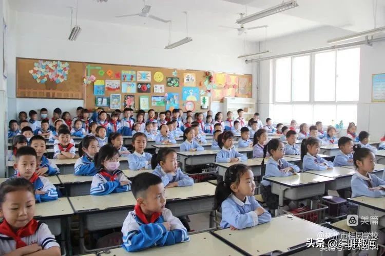 聚焦德育活动促学生全面发展,聚焦入学助力儿童成长公开课