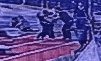 上门掌掴男童鲁经纬被捉视频,南京鲁医生上门掌掴儿童事件