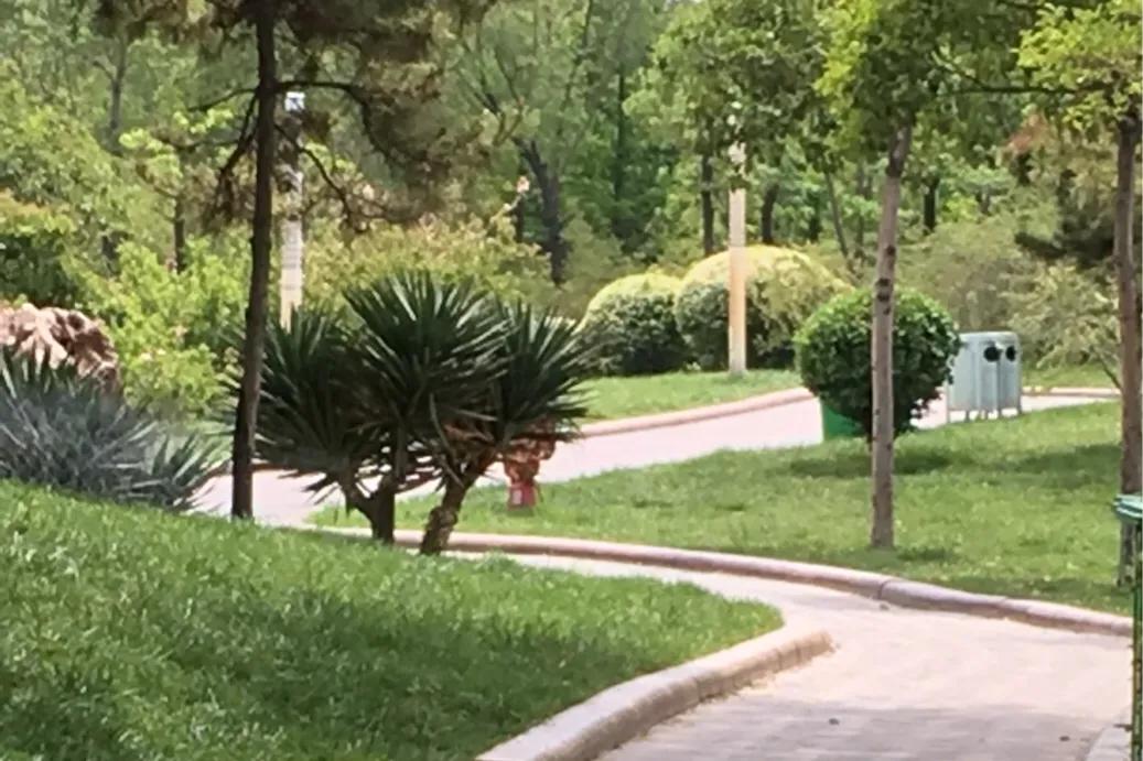 郑州世外桃源视频,郑州世外桃源景区有哪些