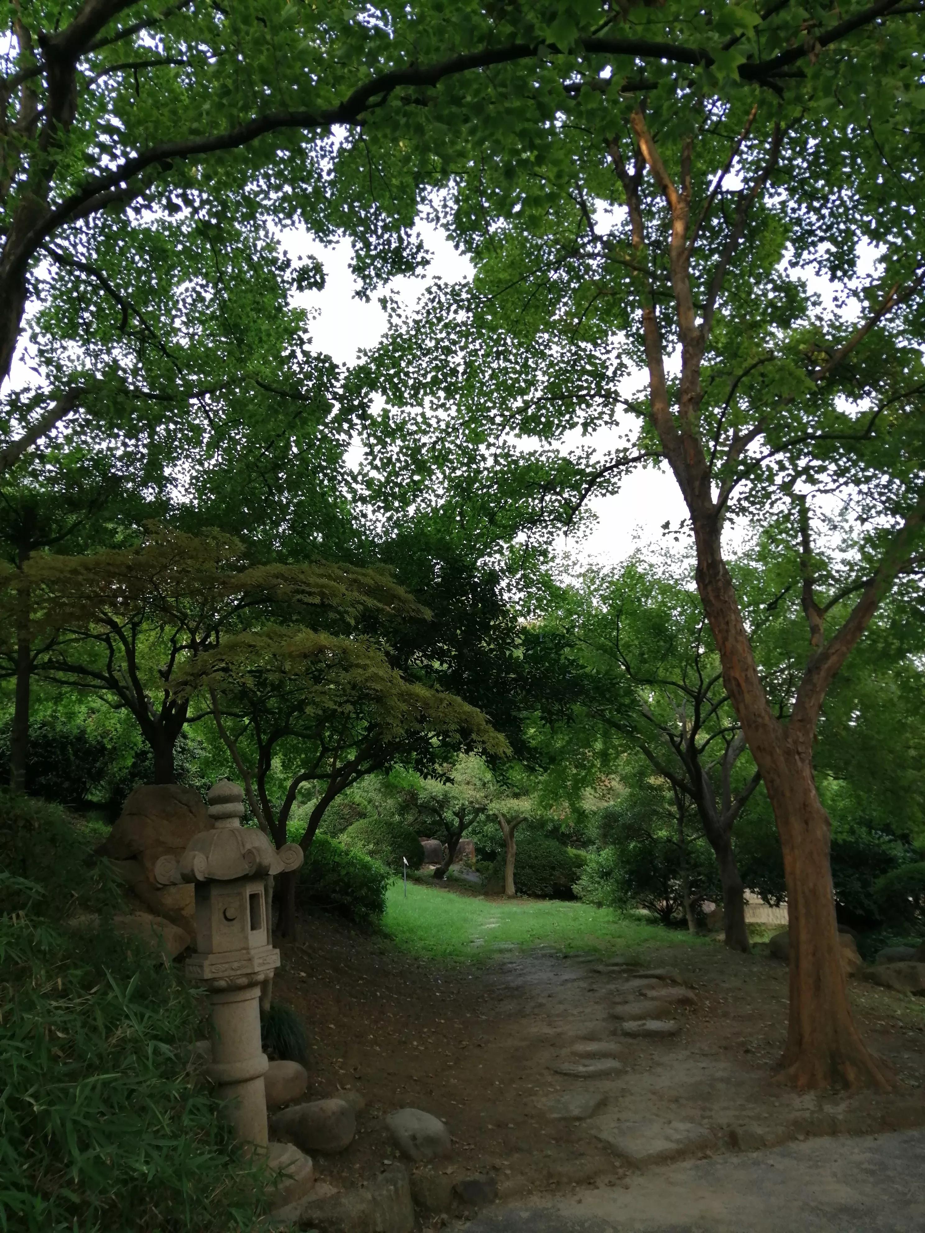 东园好玩的景点推荐,东园旅游景点推荐