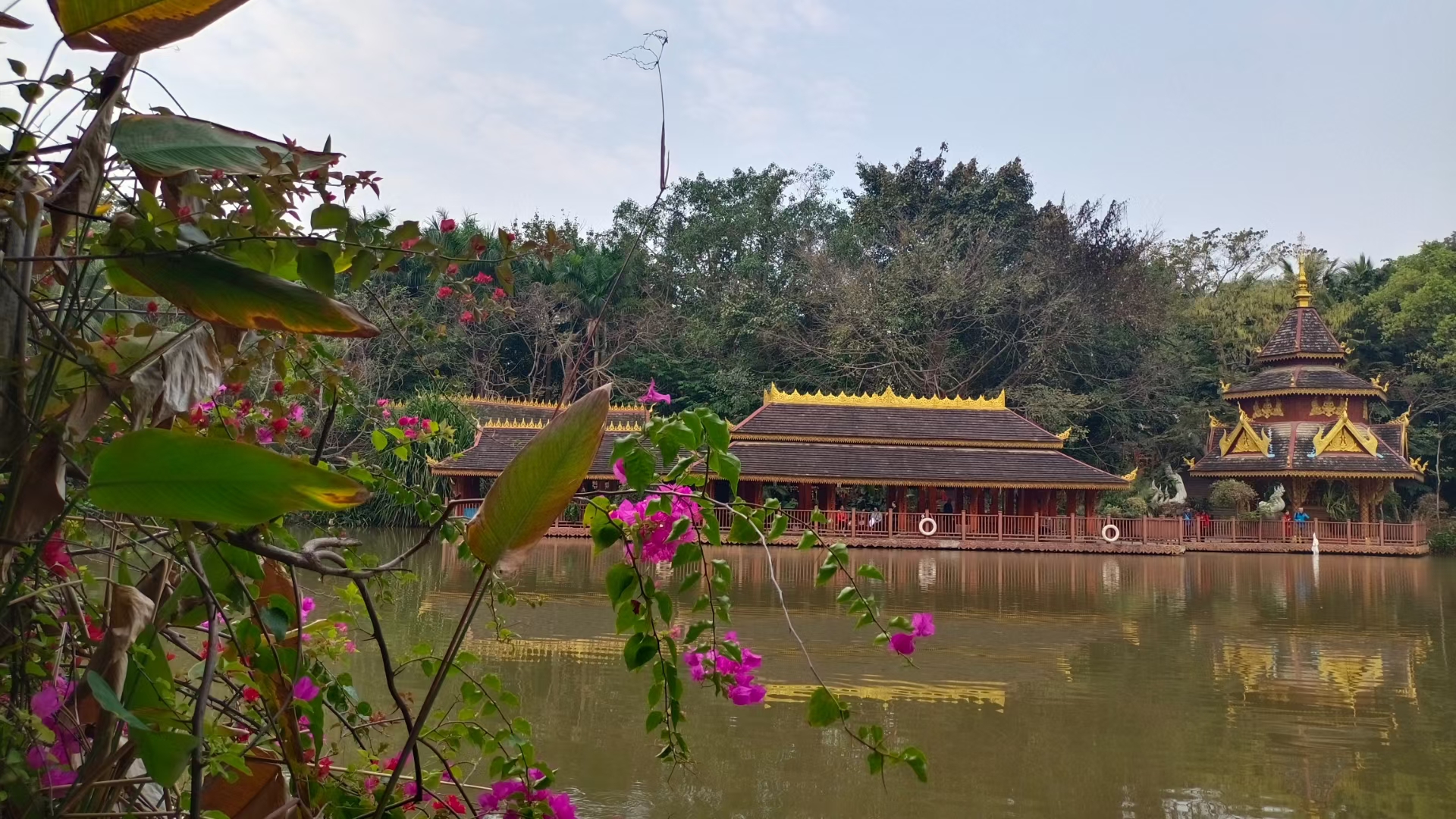 西双版纳曼听园攻略,云南西双版纳打卡曼听公园