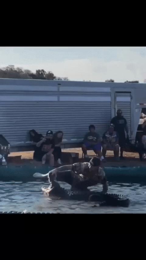 神回复：老鼠贴粘到的，吃了不会犯法吧？网友：自首，争取死缓