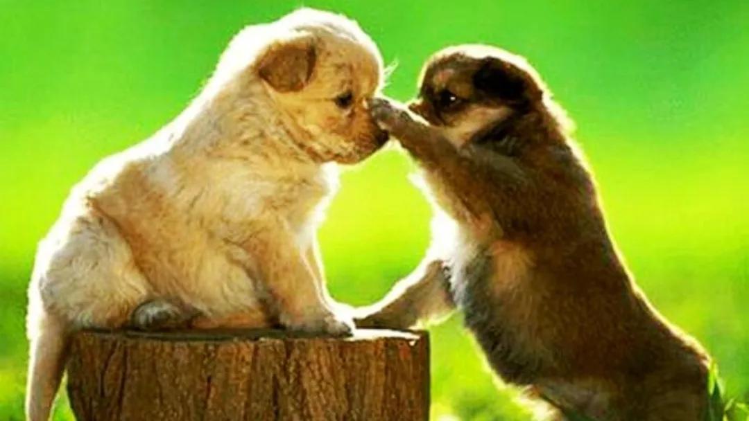 让人改变的方法,让改变变得简单