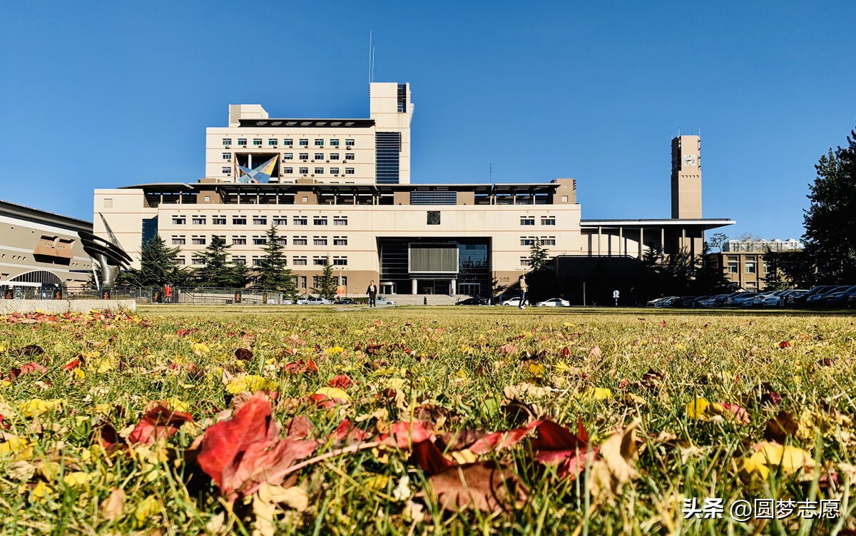 文科二本就业率高的专业,文科专业怎么样选择