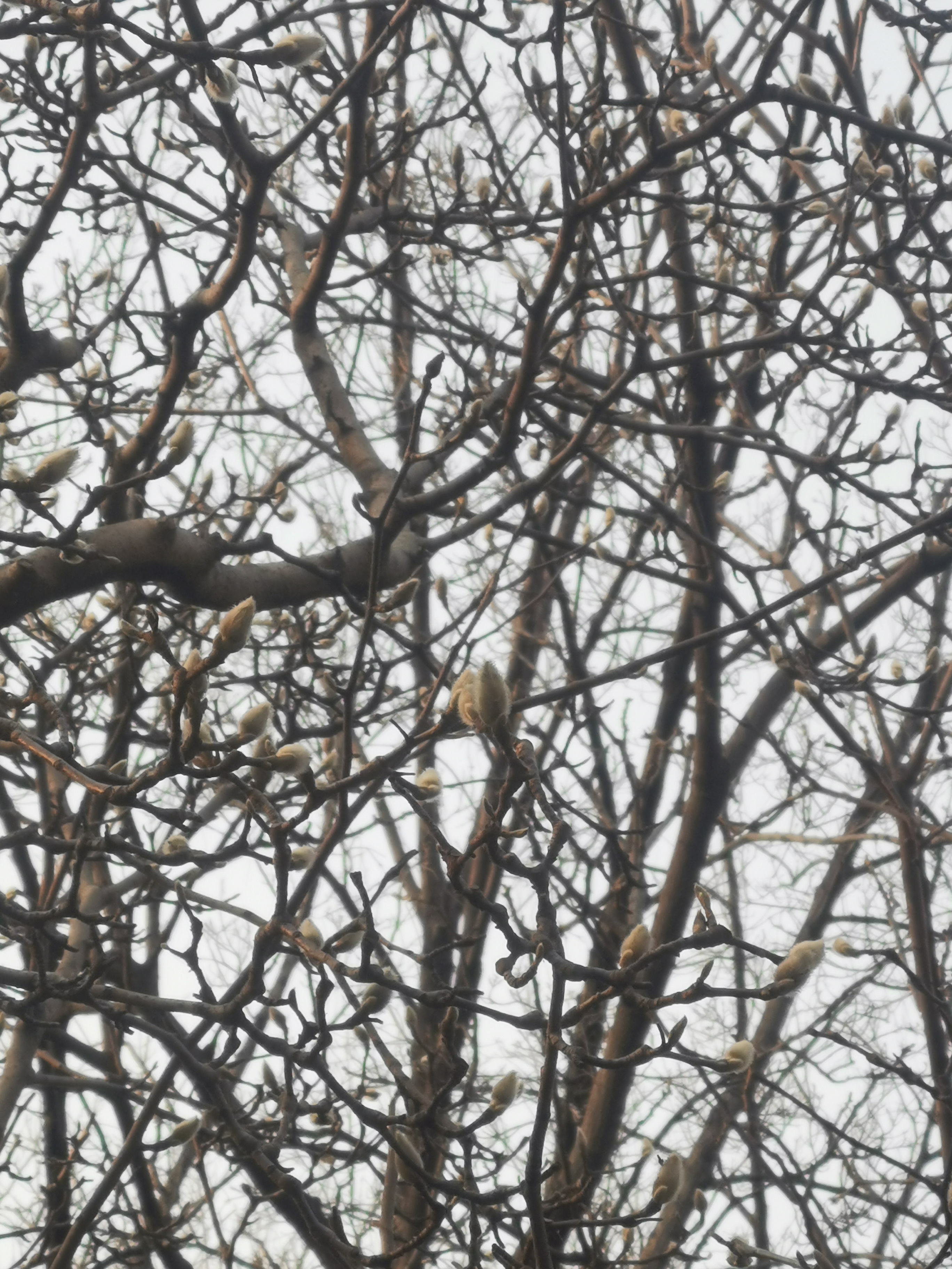 刑法第302条的内容是什么,刑诉法302条规定