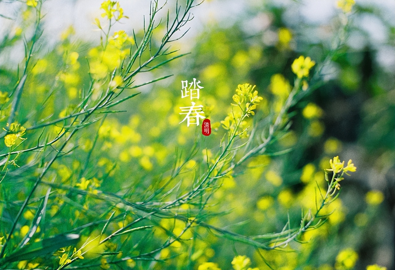 清明假期免费景点郑州周边,清明小长假适合去哪里玩郑州附近