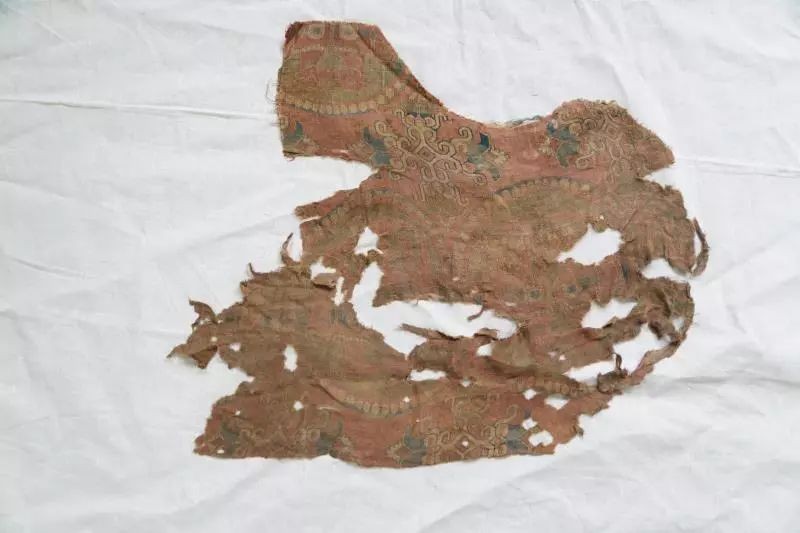 绝美！这所大学坐拥唐朝“宝藏”，食堂、宿舍双双拿下“上海第一”！