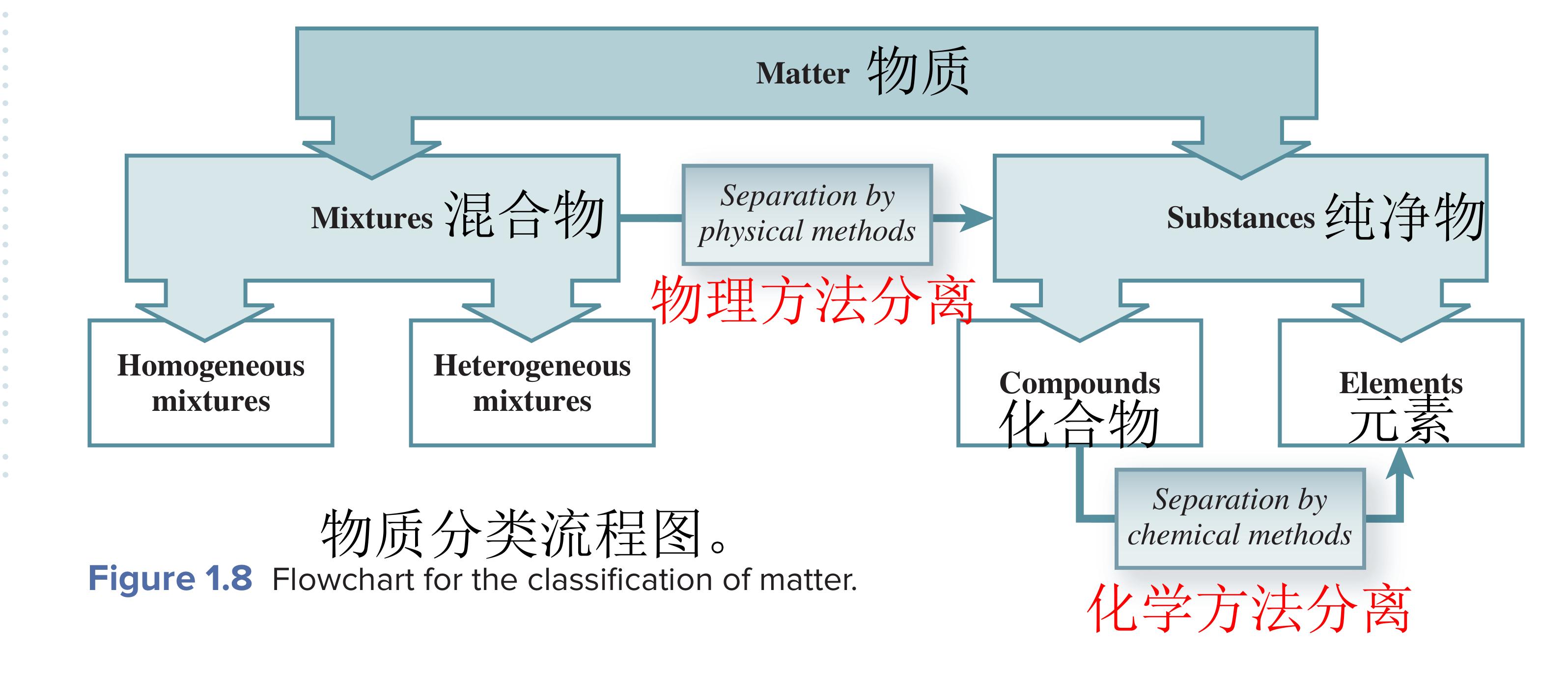 用英语提前学生物化学:小学900基础词汇词源解析第二十三课