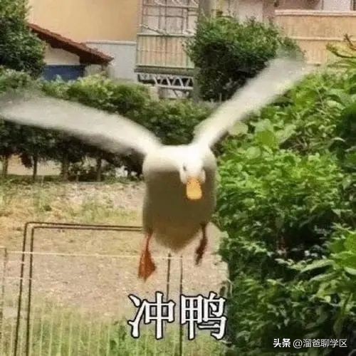 名校名企联手打造区域教育新高地,打造比肩东西海的教育强区