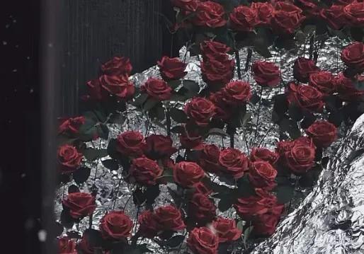 独属于你的浪漫每一句都令人感慨,那些浪漫语句