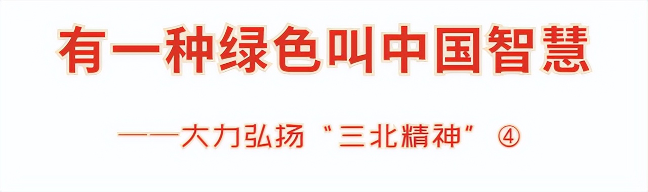 内蒙古三北精神,内蒙古三北攻坚战