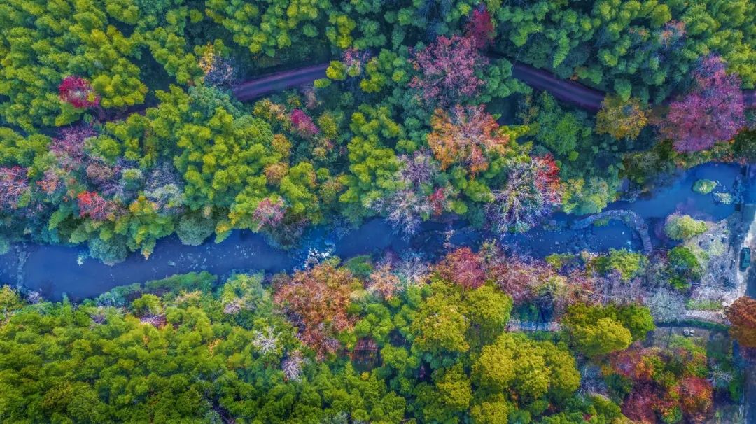 沪明情向未来丨将乐：乘沪明合作之风扬教育发展之帆