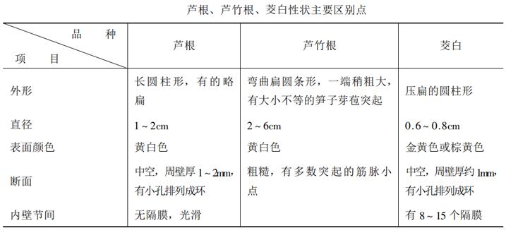 芦根全草图片,芦根功效作用