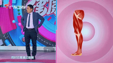 缓解脾胃湿气的香囊,心肝火旺脾胃不和怎么调理