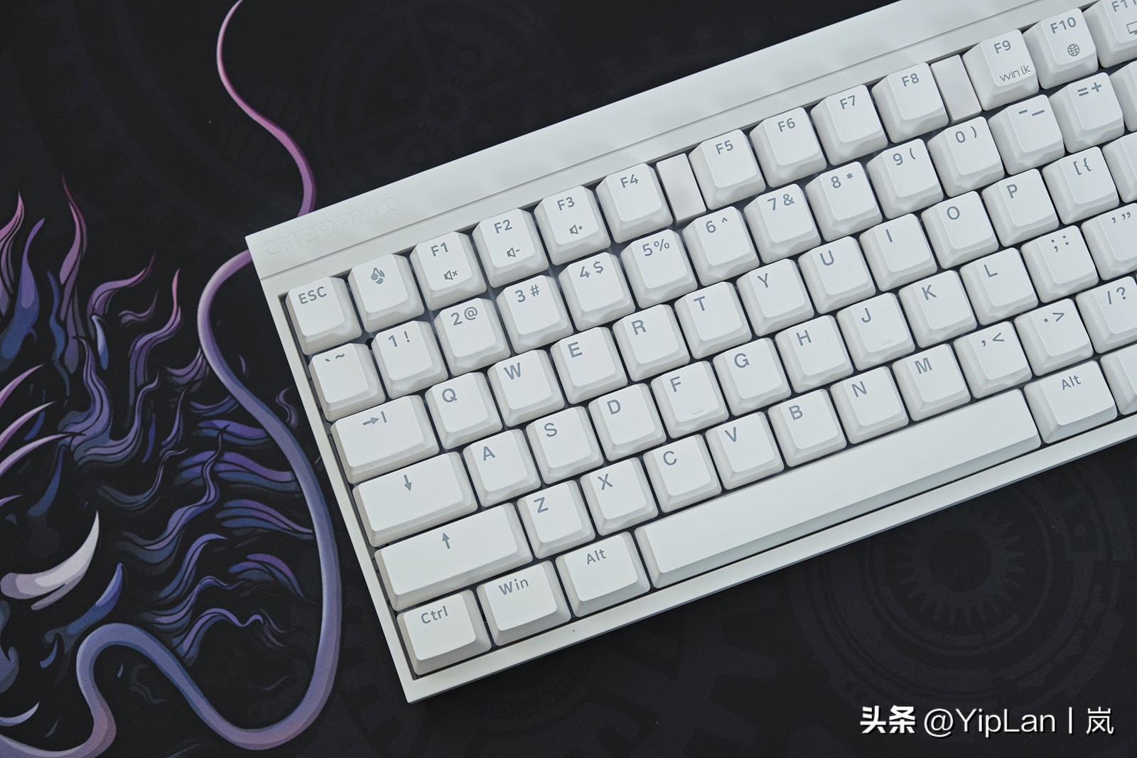 cherry澶栬鎺ㄨ崘,cherry澶栬鍜嬫牱