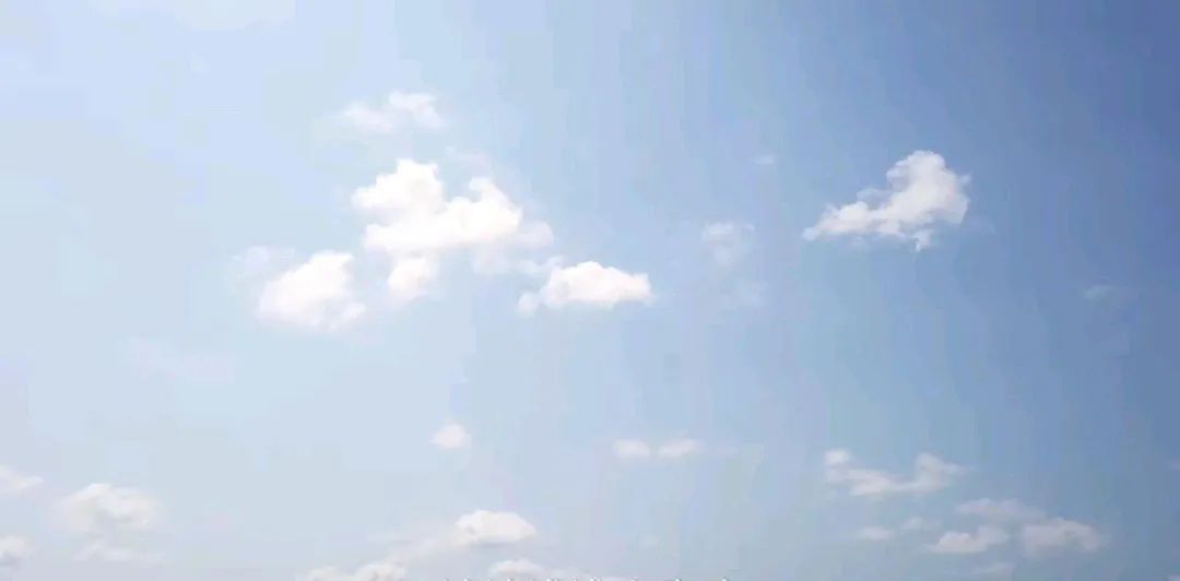 【情感剧场】：（陕西乾县杨朝阳）生计（上）