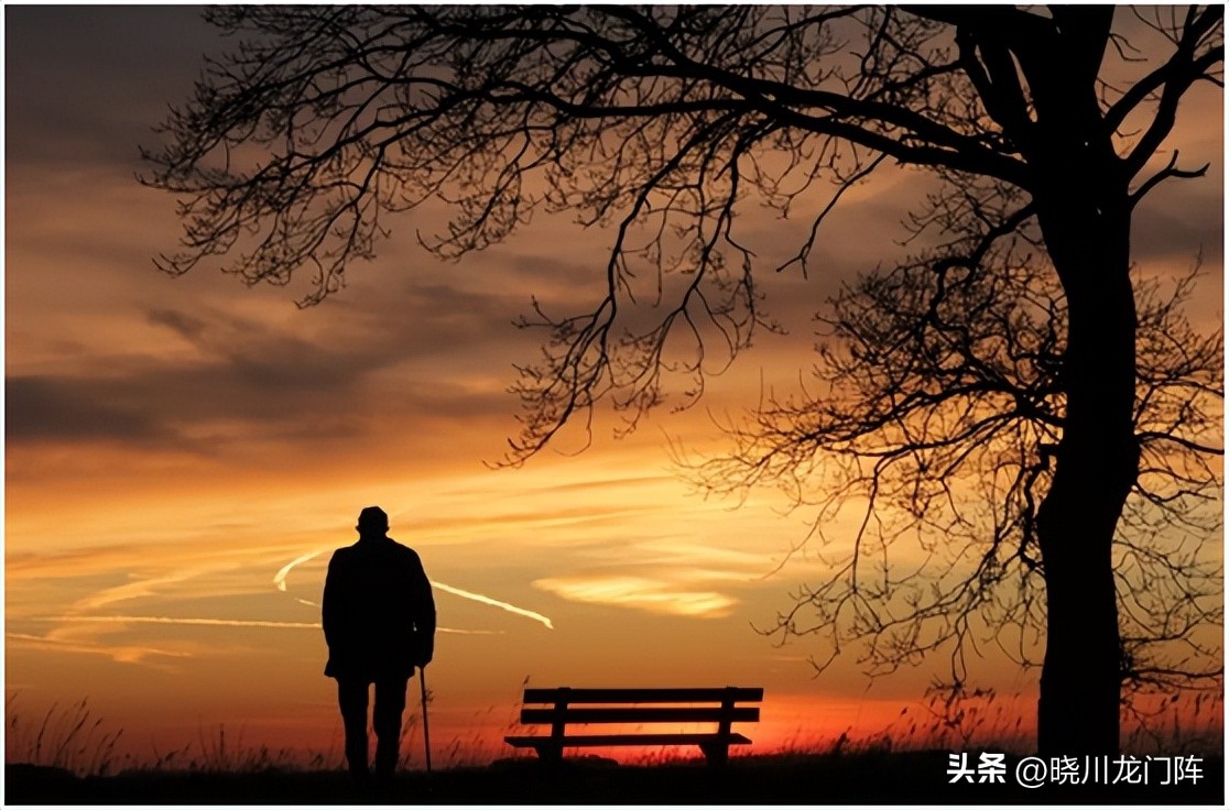 夫妻无父无母开大排档意外生意红火一天一位老人抱来一样东西