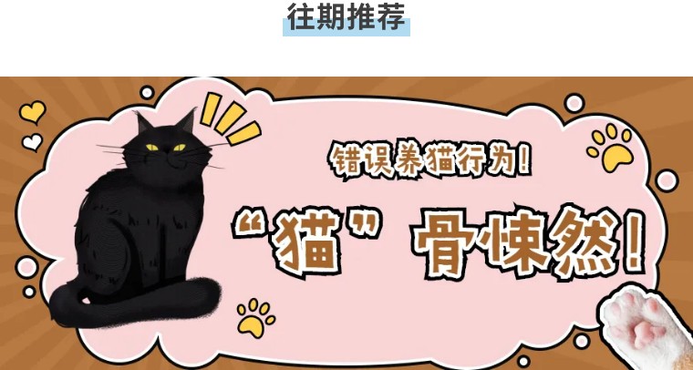 猫咪吃蟑螂有什么危害,猫咪吃了蟑螂可以打疫苗吗