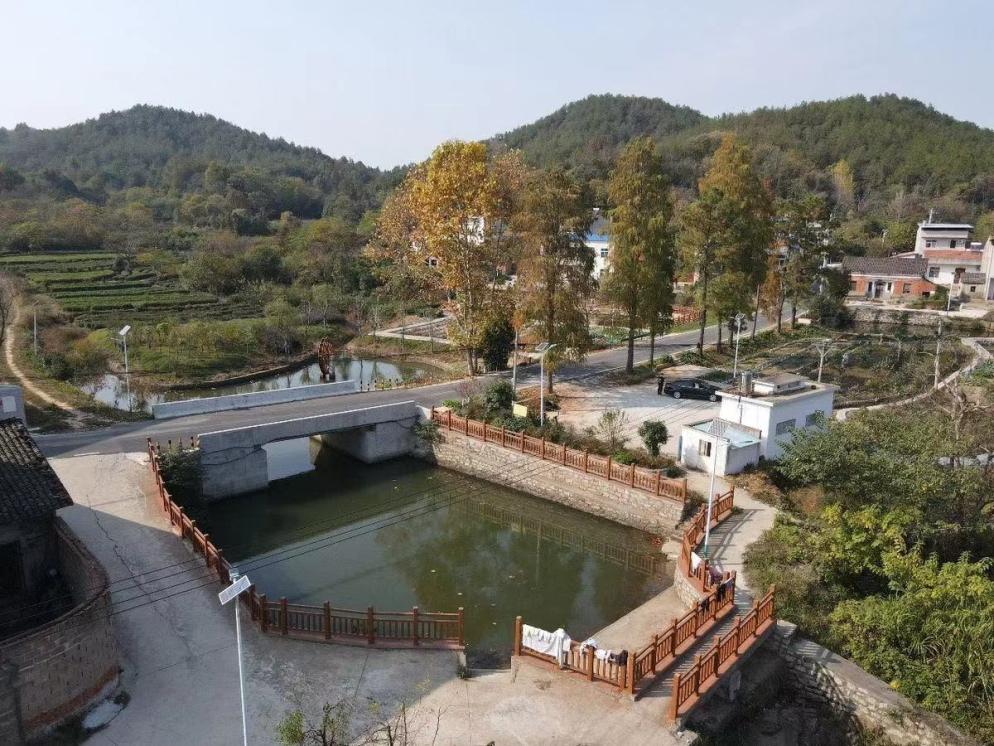 口袋公园生态美景,口袋公园小景观