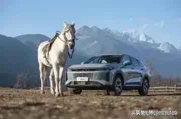 积思顿释的典故,积思顿释意味什么