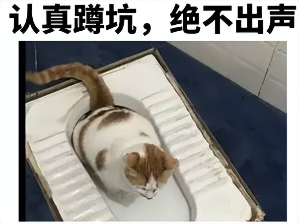 女子嫌公厕马桶脏跌伤进医院，坐着比蹲着脏？如厕时被水溅到会得性病吗？