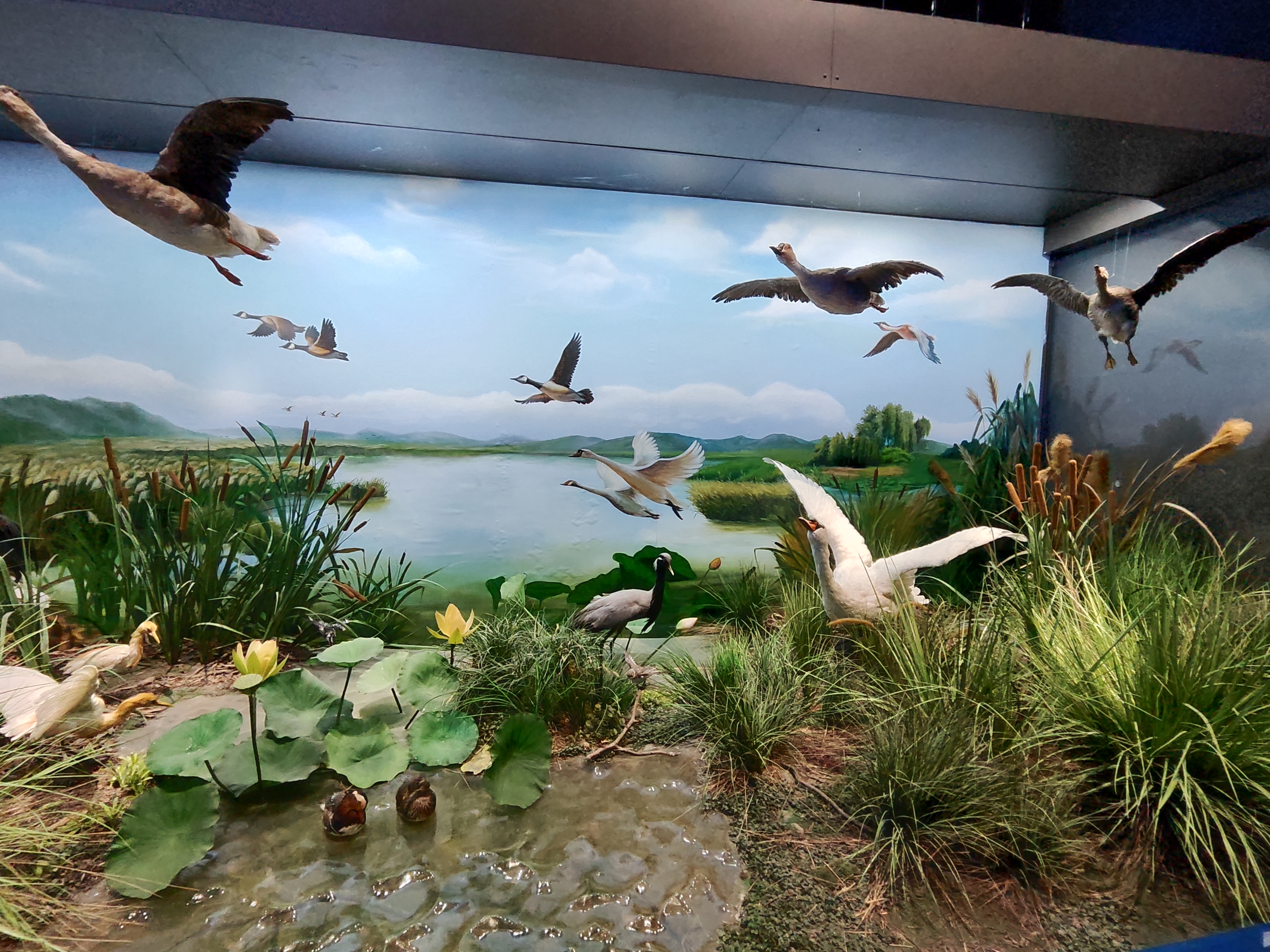 河南省科技馆新馆打卡攻略,河南省科技馆预约门票