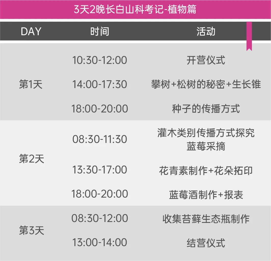 失控玩家2完整版,失控玩家游戏攻略