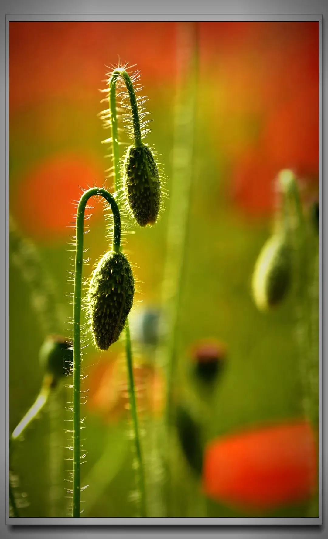 五伦关系的父子包括哪些方面,五伦关系中的父子之伦的含义