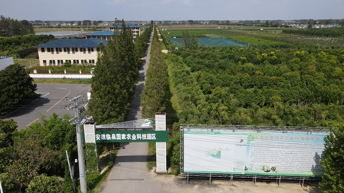 杨桥千年古村,千年古镇来历简介